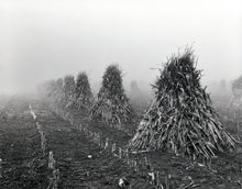 Load image into Gallery viewer, Amish Harvest - 24"x30" on Hahnemühle Photo Rag Print
