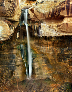 Oasis in the Desert - 11"x 14" Fuji Supergloss Paper