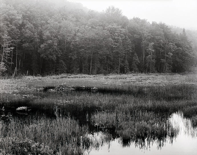 Beaver Lodge -11”x14” Fuji Flex SuperGloss Print