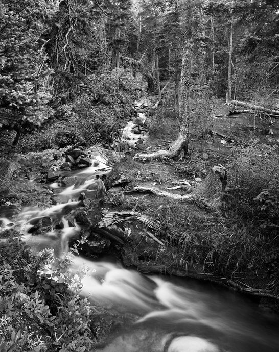 Chiquita Creek Cascades - 8