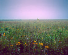 Load image into Gallery viewer, Misty Morning on the Prairie - 16&quot;x20&quot; Hahnemühle Photo Rag print