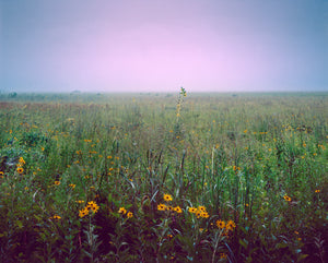 Misty Morning on the Prairie - 16"x20" Hahnemühle Photo Rag print