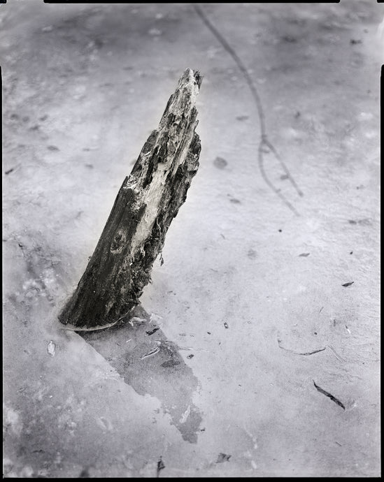 Lacy's Splinter - 8