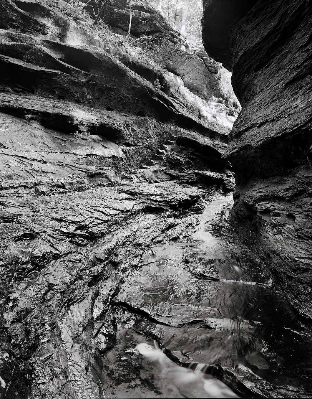 Steps from Rocky Hollow - 11”x14” Fuji Flex SuperGloss Print