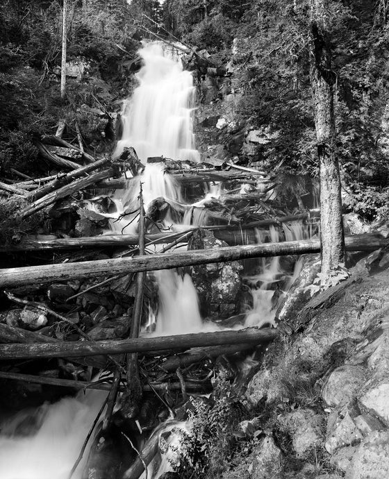 The Mist of Fern Falls - 8